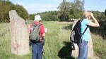 Private Half Day Tour: Viking History Trip from Stockholm Including Sigtuna
