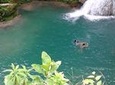 Private Irie Blue Hole Tour from Falmouth