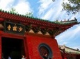 Shaolin Kung Fu Experience Private Day Tour
