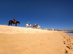 Ride Horses at Cuadra San Francisco, Baja California Sur