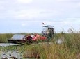 Airboat Ride and Nature Walk with Naturalist in Everglades National Park