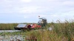 Airboat Ride and Nature Walk with Naturalist in Everglades National Park