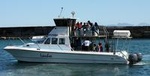 Big 5 Sea Safari in Walker Bay from Gansbaai