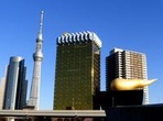 Private Custom Tokyo Tour