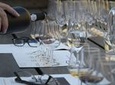 Private Niagara Ice Wine Tour