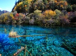 Explore Jiuzhaigou National Park, China (UNESCO site)