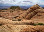 Explore Red Cliffs National Conservation Area, Utah