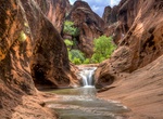 Canyoneer Bitter Creek Canyon, Red Cliffs NCA, Utah