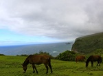 Visit Pololū Valley Lookout, Big Island, Hawaii