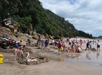 Relax at Hot Water Beach, Coromandel, New Zealand