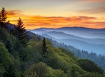 Explore Great Smoky Mountains National Park, Tennessee & North Carolina (UNESCO site)