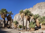 Hike to Hidden Spring, Mecca Hills, California