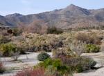Off-road Indian Gorge Road, Anza-Borrego Desert State Park, California