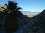 Hike Hellhole Canyon & Maidenhair Falls, Anza-Borrego Desert State Park, California