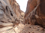 Canyoneer Black Hole in White Canyon, Cedar Mesa, Utah