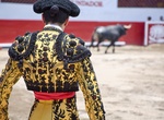 See a Bullfight in Spain