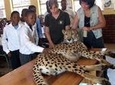 Ann Van Dyk Cheetah Centre Half-Day Tour from Johannesburg