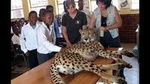 Ann Van Dyk Cheetah Centre Half-Day Tour from Johannesburg