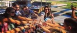 Full-Day Constantia Wine Tour from Cape Town