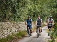 Lecce to Cesine Protected Natural Reserve Full-Day Bike Tour