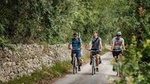 Lecce to Cesine Protected Natural Reserve Full-Day Bike Tour