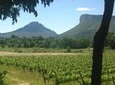 Pic Saint Loup Winetour & lunch in my family house 