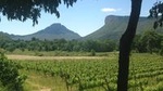 Pic Saint Loup Winetour & lunch in my family house 