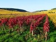 Private Castles of Burgundy Tour with Wine Tasting from Lyon