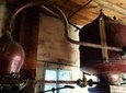 Private day-tour from Angouleme: Facets of Cognac : Brand, Distillery, Cooperage