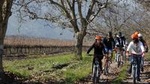 Full-Day Private Maipo Valley Bike Tour and Wine Tasting from Santiago