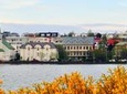 Reykjavik Walking Tour - Walk with a Viking