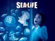 SEA LIFE Orlando Aquarium