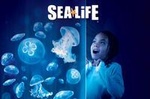 SEA LIFE Orlando Aquarium