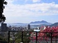 Taipei Day Tour including Taipei 101, Din Tai Fung and Hot Spring Experience