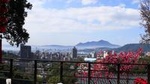 Taipei Day Tour including Taipei 101, Din Tai Fung and Hot Spring Experience