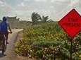 Tulum insider’s bike: Maya ruins, cenote, Tulum Pueblo, Mayan bee farm & lunch