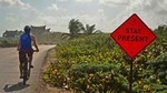 Tulum insider’s bike: Maya ruins, cenote, Tulum Pueblo, Mayan bee farm & lunch