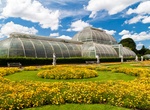 Explore Kew Gardens (Royal Botanic Gardens), England (UNESCO site)