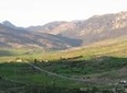Middle Atlas Mountains, Cedar Forest and Azrou Day Trip from Fez