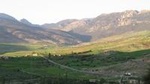 Middle Atlas Mountains, Cedar Forest and Azrou Day Trip from Fez