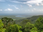 Explore Daintree National Park, Queensland, Australia (UNESCO site)