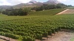 Private Cape Winelands Panoramic Guided Day Tour from Cape Town