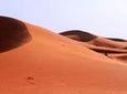 Desert Safari in a 4 x 4 with Sand Ski and Camel Ride from Dubai