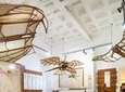 Leonardo da Vinci Museum: the Universal Genius and His Works