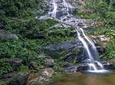 Private Tijuca Forest and Christ the Redeemer Tour