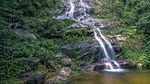 Private Tijuca Forest and Christ the Redeemer Tour