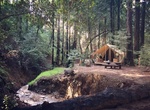 Glamp at Ventana Campground, Big Sur, California