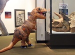 Visit Burke Museum of Natural History and Culture, Seattle, Washington