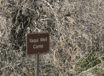Camp at Yaqui Well Primitive Campsite, California