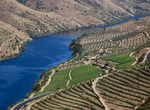 Wine Tasting in Alto Douro Wine Region, Portugal (UNESCO site)